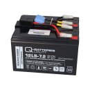 Ersatz-Akku für APC-Back-UPS RBC48 fertiges Batterie Modul zum Austausch Plug & Play