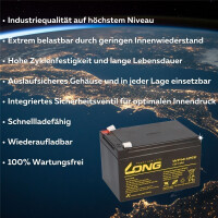Kung Long WP14-12SE Akku-Satz 36V 14Ah für Rolektro BT 