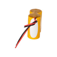 Notleuchten-Akku 2,4V 4,0Ah NiCd F1x2 D | F21NICD4000 3