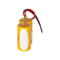 Notleuchten-Akku 2,4V 4,0Ah NiCd F1x2 D | F21NICD4000 5