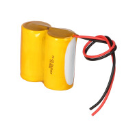 Notleuchten-Akku 2,4V 4,0Ah NiCd F1x2 D | F21NICD4000 6