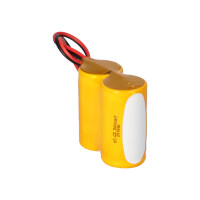 Notleuchten-Akku 2,4V 4,0Ah NiCd F1x2 D | F21NICD4000 7