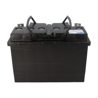 Exide Sonnenschein GF 12 051 Y G1 12V 56Ah dryfit Gel Trakti