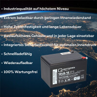 Q-Batteries 12LS-12 12 V 12 Ah A gallery 32_2nd