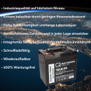 Q-Batteries 12LS-55 12V 55Ah Blei Akku Standard-Typ AGM...