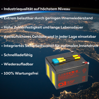 CSB-SCD9 für APC RBC9 - Smart-UPS 700 RM - 2x 12V 7,2Ah