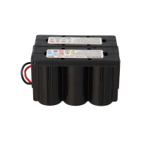 EnerSys Hawker CYCLON 0819-0024 Rasenmäher-Akku 12V 2,5