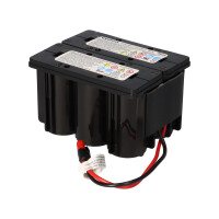 EnerSys Hawker CYCLON 0819-0024 Rasenmäher-Akku 12V 2,5
