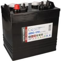Q-Batteries 8DC-170 8V 170Ah Deep Cycle Traktionsbatterie 1