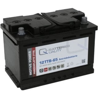 Q-Batteries 12TTB-65 12V 65Ah (C20) geschlossene Blockbatterie Röhrchenplatte