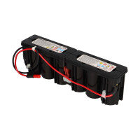 EnerSys Hawker CYCLON 0819-0017 Rasenmäher-Akku 12V 2,5