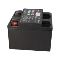 EnerSys Genesis 12EP26 / G26EP Reinblei-Akku 12V 28Ah C10 &n