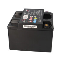 EnerSys Genesis 12EP26 / G26EP Reinblei-Akku 12V 28Ah C10 &n
