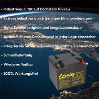 APC SILCON DP310-BC Ersatzakkusatz – 18x Kung Long WP4