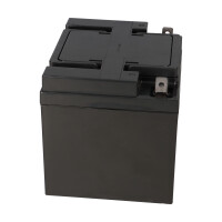 APC SILCON DP310-BC Ersatzakkusatz – 18x Kung Long WP4