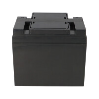 Kung Long WPL45-12N 12V 45Ah AGM Bleiakku M6 Longlife 6