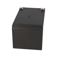 Kung Long WPL12-12 12V 12Ah AGM Bleiakku F2 6,3mm Longlife 4
