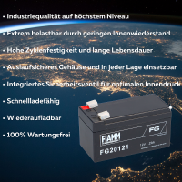 FIAMM FG20121 Standard AGM Bleia productbox 2_2nd