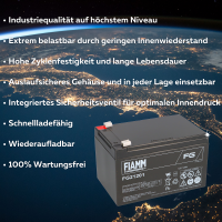 FIAMM FG21201 Standard AGM Bleiakku 12V 12Ah T1 / Faston 4,8