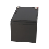 FIAMM FG21201 Standard AGM Bleiakku 12V 12Ah T1 / Faston 4,8