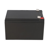 FIAMM FG21201 Standard AGM Bleiakku 12V 12Ah T1 / Faston 4,8