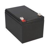 FIAMM FG21201 Standard AGM Bleiakku 12V 12Ah T1 / Faston 4,8