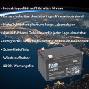 Fiamm Blei-Akku FG21202 Pb 12V / 12Ah Faston 6,3