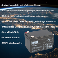 FIAMM FG21202 Standard AGM Bleiakku 12V 12Ah T2 / Faston 6,3