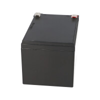 FIAMM FG21202 Standard AGM Bleiakku 12V 12Ah T2 / Faston 6,3