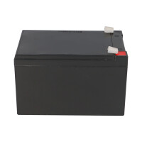 FIAMM FG21202 Standard AGM Bleiakku 12V 12Ah T2 / Faston 6,3
