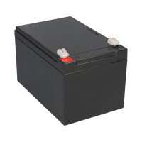 FIAMM FG21202 Standard AGM Bleiakku 12V 12Ah T2 / Faston 6,3