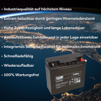 FIAMM 12FGH65 High-Rate AGM Bleiakku 12V 18Ah M5-Schraubansc