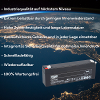 FIAMM FG20201 Standard AGM Bleia productbox 4_2nd