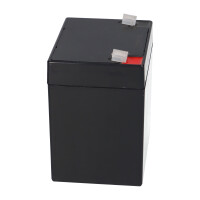 FIAMM FG20451 Standard AGM Bleiakku 12V 4,5Ah T1 / Faston 4,
