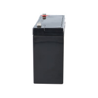 FIAMM FG11201 Standard AGM Bleiakku 6V 12Ah T1 / Faston 4,8 