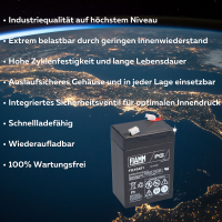 FIAMM FG10451 Standard AGM Bleiakku 6V 4,5Ah T1 / Faston 4,8