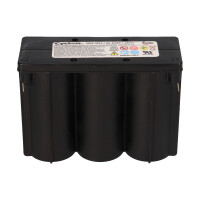 EnerSys Hawker CYCLON E 8.0-6, Artikel 0859-0012 Reinblei-Ak