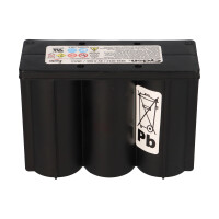 EnerSys Hawker CYCLON E 8.0-6, Artikel 0859-0012 Reinblei-Ak
