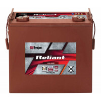 Traktionsbatterie Trojan Reliant J185-AGM 12V