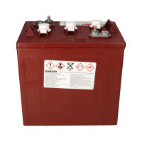 Trojan T-105 Plus 6 V 225 Ah Deep-Cycle-Traktionsbatterie &n