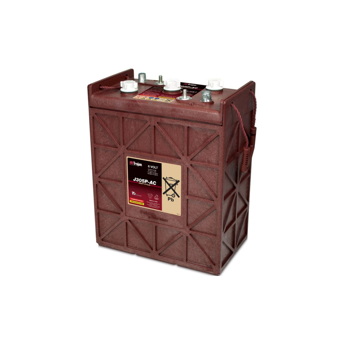 Traktionsbatterie Trojan J305P-AC 6V 330Ah Deep Cycle DT-Anschluss