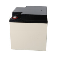 APC SILCON DP310-BC Ersatzakkusatz – 18x Yuasa NP38-12