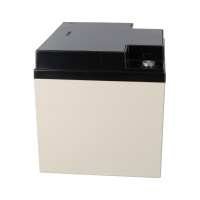 APC SILCON DP310-BC Ersatzakkusatz – 18x Yuasa NP38-12