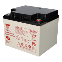 APC SILCON DP310-BC Ersatzakkusatz – 18x Yuasa NP38-12