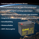 Ersatzakku für Cascare/ Casamobil CM2-4, CM4-4 2x 12V (24V) 36Ah Zyklenfest AGM Long