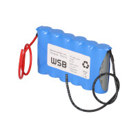 Beghelli 415260000 Notleuchten-Akku 7,2V 2100mAh NiMH F1x6 6