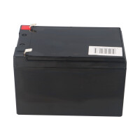 Q-Batteries 12LSX-12 12 V 12,2 Ah AGM 10-Jahres-Akku 4