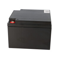 Q-Batteries 12LSX-24 12 V 24 Ah AGM 10-Jahres-Akku 3