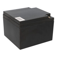 Q-Batteries 12LSX-24 12 V 24 Ah AGM 10-Jahres-Akku 7