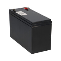 Q-Batteries 12LSX-9 12 V 8,8 Ah AGM 10-Jahres-Akku 7